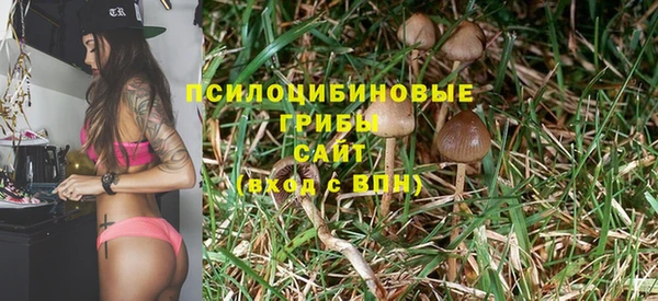 каннабис Верея