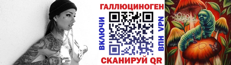 как найти закладки  Ершов  Псилоцибиновые грибы Psilocybine cubensis 